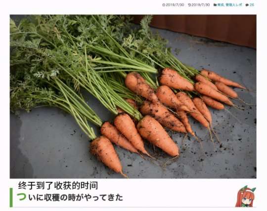 http://seogc.fp.ps.netease.com/file/64edc34e3a555a9a3dda1c94wDr5b8rF05