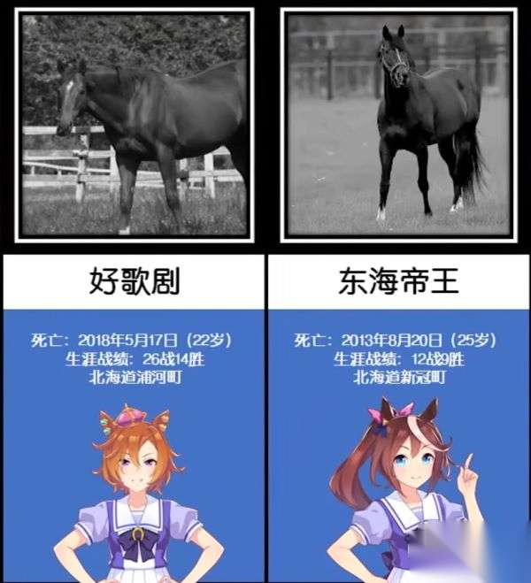 http://seogc.fp.ps.netease.com/file/64f06599f9cdfb87f349e7d3mbGeWc8005