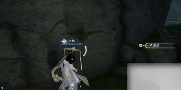 http://seogc.fp.ps.netease.com/file/6623141eafb0900d81e42defyBc7e7eE05