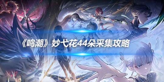 http://seogc.fp.ps.netease.com/file/66503c295031ac00c48c742fd7xC5bDw05