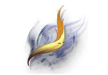 http://seogc.fp.ps.netease.com/file/6653dbbb3e6c1096d7fbad2d8ZEMhJbg05