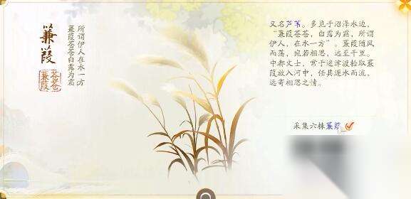 http://seogc.fp.ps.netease.com/file/66600d57b2912ef624e07ebcpiJFdi7X05