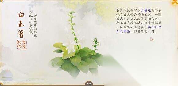 http://seogc.fp.ps.netease.com/file/66615eef1cdc3c9ea3b639ealiyi2AzC05