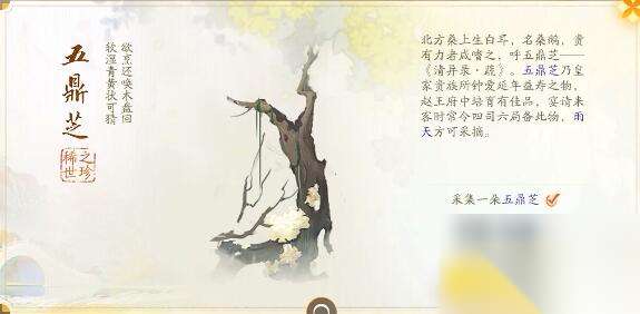 http://seogc.fp.ps.netease.com/file/66615eeff2ec172b0e7f7049iOk2JMki05