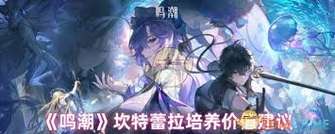 《鸣潮坎特蕾拉角色培养解析：全面技能与输出优势》