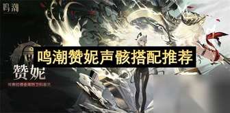 鸣潮赞妮角色最佳声骸搭配与技能配置指南