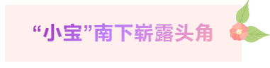 http://seogc.fp.ps.netease.com/file/6842590b56d942fb68a13efb2Bh4xTCS06