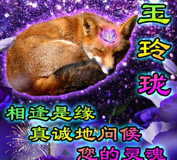 http://seogc.fp.ps.netease.com/file/684ebd38c02aaffccfcd5fcf8MyViMzJ06