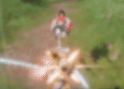http://seogc.fp.ps.netease.com/file/68975bbd6d01590a26ed3285vgXyoTNw06