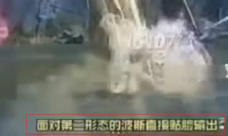 http://seogc.fp.ps.netease.com/file/689d9d1fef1c25bcb23d4169Ts9IoycO06