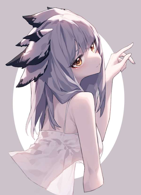 http://seogc.fp.ps.netease.com/file/68b8dd8883426d7054141e9c7vc7KJjA06