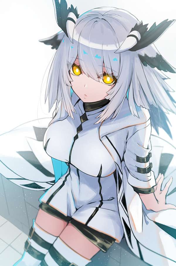 http://seogc.fp.ps.netease.com/file/68b8dd8d61745782a0a7047bOs0YweXE06