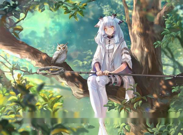 http://seogc.fp.ps.netease.com/file/68b8dda8f2956d594e0e3bb5KYfwHLoo06