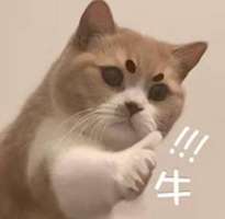 萤火突击SS6赛季高光操作集锦