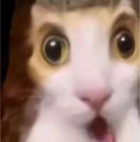 萤火突击晒仓库热潮玩法解析