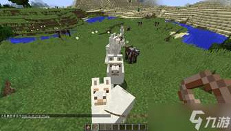 我的世界羊驼分布与驯服全攻略