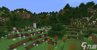 我的世界暮色森林传送门搭建与材料详解