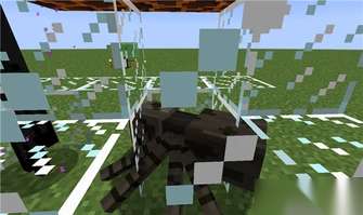 我的世界蜘蛛驯服方法与工具全攻略