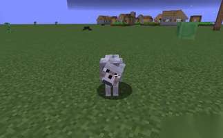 我的世界狼驯服指南：骨头准备与分布全解