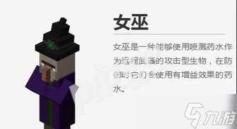 我的世界女巫驯服攻略大全