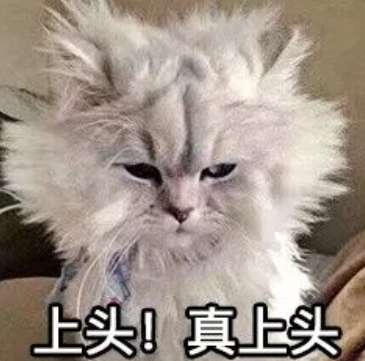 http://seogc.fp.ps.netease.com/file/6945ec904b56331e384d1841mWOEjxHK07