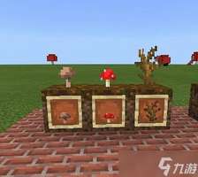 我的世界高效获取种子与植物种植攻略