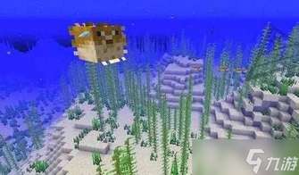 我的世界河豚获取与应用全攻略