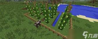 我的世界啤酒花获取与种植全攻略