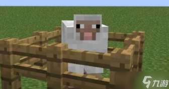 我的世界动物养殖繁殖攻略与技巧