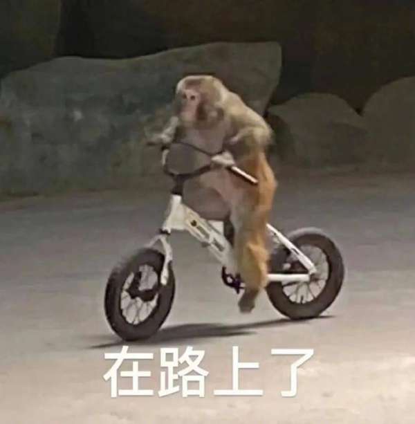 http://seogc.fp.ps.netease.com/file/69570fe29035ac3054dc5e79VxlijY1i07