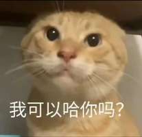 终末地游戏体验及玩法深度解析