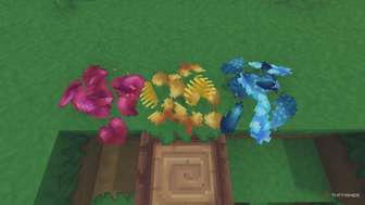 Hytale禁卫骷髅魔导书获取全攻略