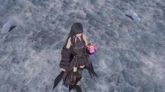 最终幻想纷争决斗场新作盖娅预告曝光，3月上线