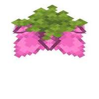 我的世界孢子花作用解析：装饰、酿造与生物吸引