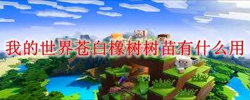 http://seogc.fp.ps.netease.com/file/69cb5e6f084767b517b253efF1ivlUDZ07