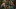 http://seogc.fp.ps.netease.com/file/69d838954118980fad4c75521UgUw8ZY07