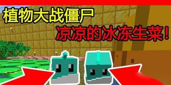 《我的世界冰冻效果抵抗全攻略与实用技巧》