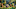 http://seogc.fp.ps.netease.com/file/69f7dcecf590499ca1e4edceGIU3CcQw07