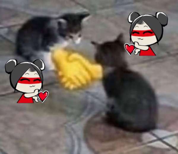 http://seogc.fp.ps.netease.com/file/6a0c74d9d3e6c806329b195d8HOtkxQV07
