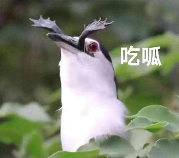 http://seogc.fp.ps.netease.com/file/6a156f74edc6a3349a7983e8ue7Vcr9V07