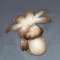 http://seogc.fp.ps.netease.com/file/6a2f910f493edd92eb7af322G2Lvr5G407