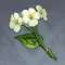 http://seogc.fp.ps.netease.com/file/6a2f91103e4a93a165cbcc8aXlmHUs1307