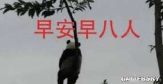 《雾影猎人》：硬核近战搜打撤玩法全面升级