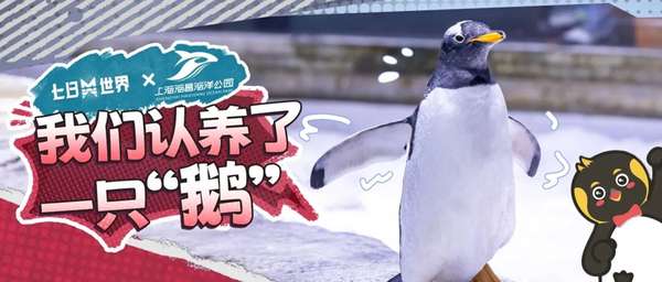 http://seogc.fp.ps.netease.com/file/6a35dcf763439403aedd9d57Bz4kNyUi07