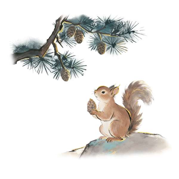 http://seogc.fp.ps.netease.com/file/6a37f6435d2133aa76f50ac3MdIwpbiz07