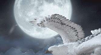 http://seogc.fp.ps.netease.com/file/6a413058c836db564dea8566Yrvku4JK07
