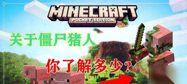 http://seogc.fp.ps.netease.com/file/6a4f7f94d1acaf88fba87d443EJTj5Sc07