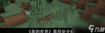 我的世界草丛属性解析及玩法攻略