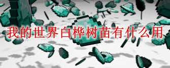我的世界白桦树叶用途全解析与玩法指南