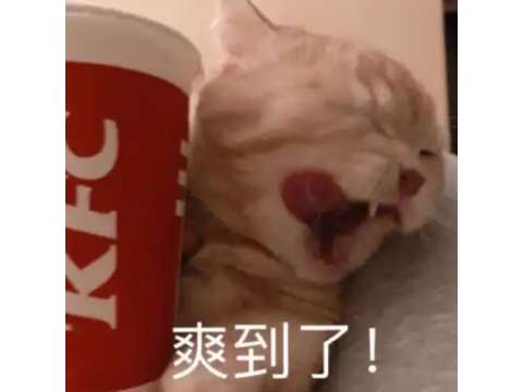 http://seogc.fp.ps.netease.com/file/6a9b619fad3bda924158d60e6YIOzwtJ07